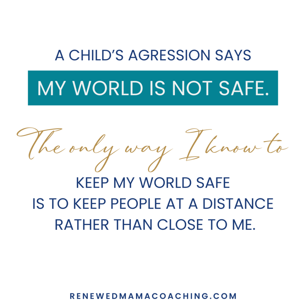 Image text reads: A child's aggression says my world is not safe. The only way I know to keep my world safe is to keep people at a distance rather than close to me. Tina J. Smith, parent coaching, Renewed Mama Coaching